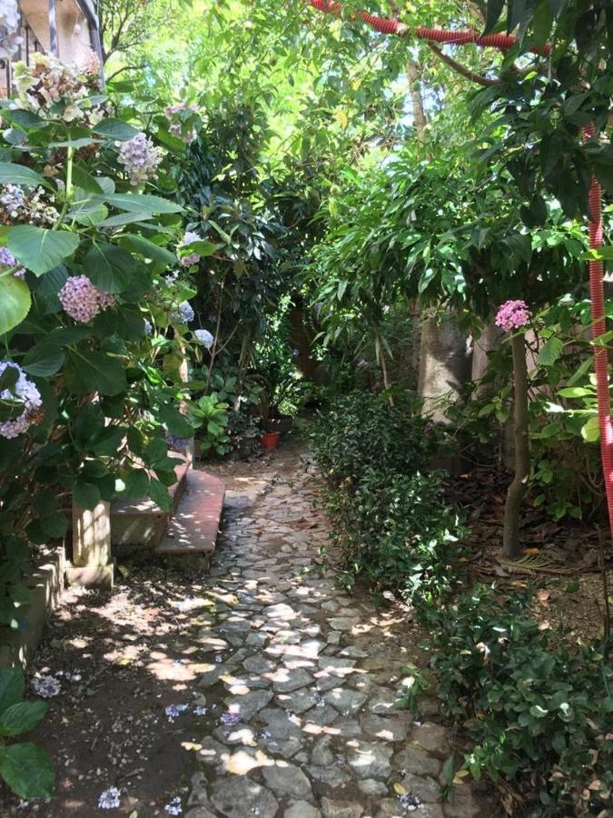 B&B Le Casette Sant'Onofrio  Ngoại thất bức ảnh